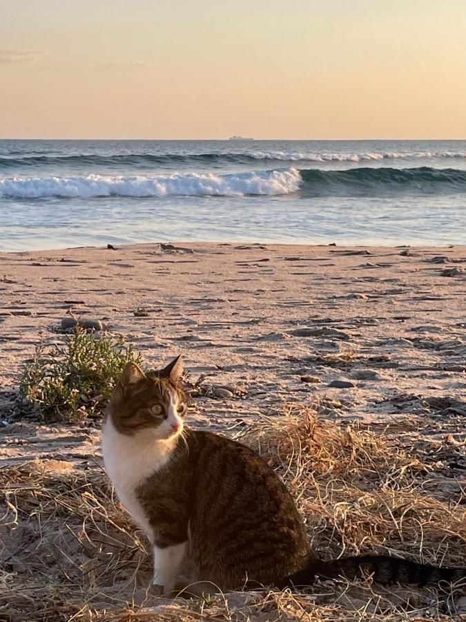 Sant'Andrea  Villa By The Beach מראה חיצוני תמונה